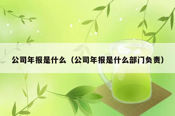 公司年报是什么？哪个部门负责编制？ 