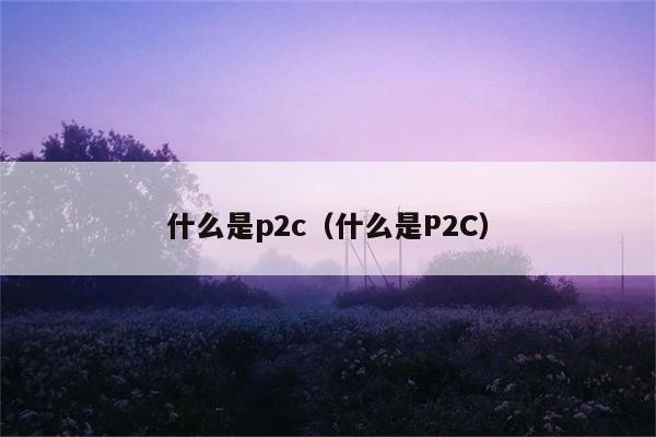 P2C是什么意思？它的特点和作用是什么？ 