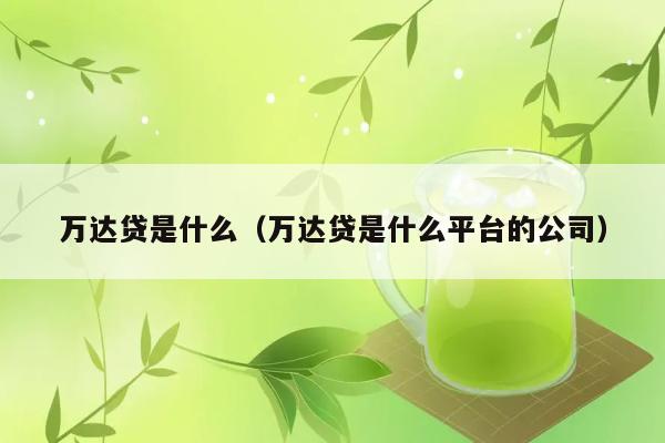 万达贷是哪个平台的公司？ 