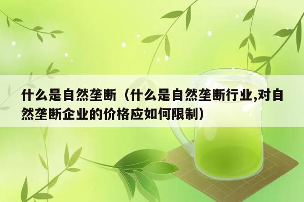 自然垄断是什么？如何限制自然垄断企业价格？ 