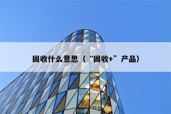 固收到底是什么意思？（探讨“固收+”产品） 