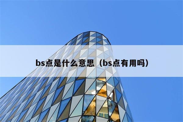 bs点具体代表什么，它有实际用处吗？ 