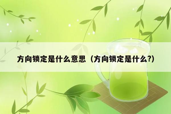 方向锁定具体是指什么？ 