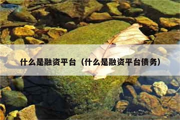 融资平台是什么，它的债务又是什么意思？ 