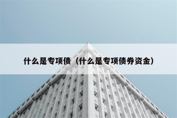 专项债是什么？专项债券资金又指什么？ 