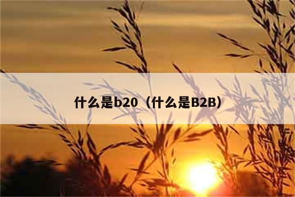 B20到底是什么？B2B又指什么呢？ 