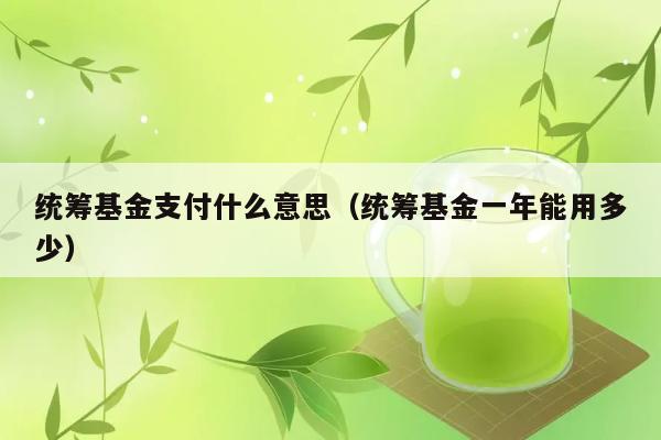 统筹基金支付是何意？一年可用额度是多少？ 