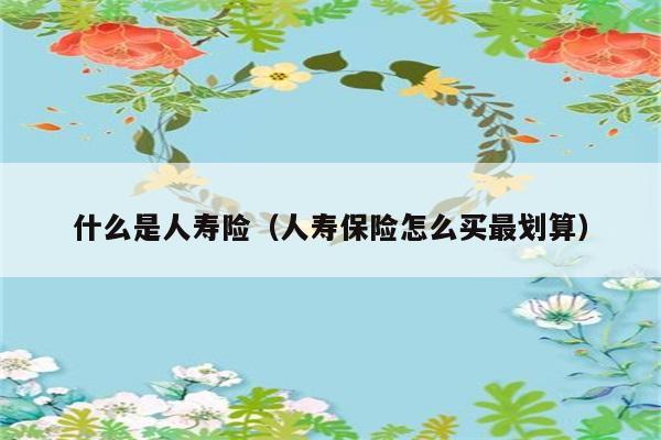 如何购买最划算的人寿险（人寿保险有哪些购买技巧）？ 