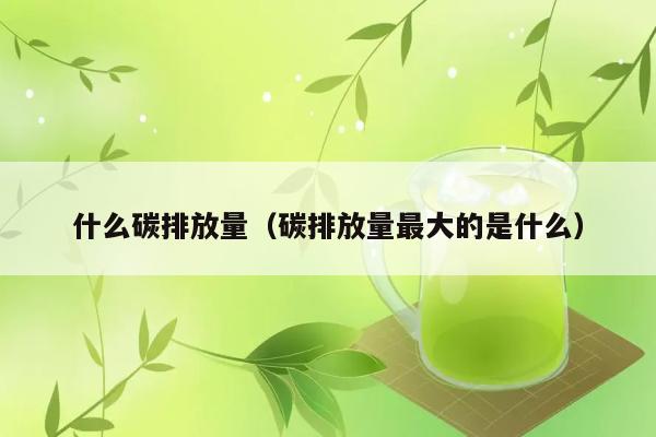 碳排放量最大的是什么？ 