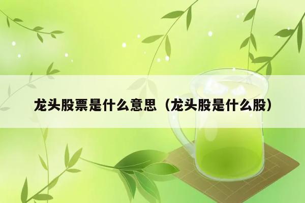 龙头股票是指什么类型的股票？ 