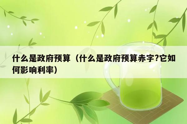 政府预算赤字是什么？它如何对利率产生影响？ 