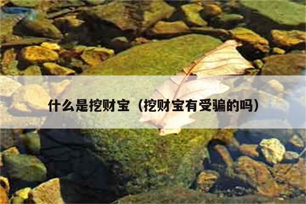 挖财宝是什么？是否存在受骗风险？ 