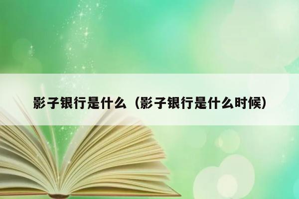 影子银行是什么？其存在时间是什么时候？ 