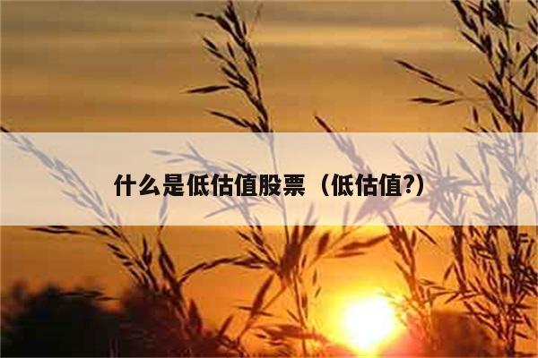 低估值股票是什么，怎么判断其低估值？ 