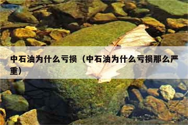 中石油为何持续亏损？亏损原因何在？ 