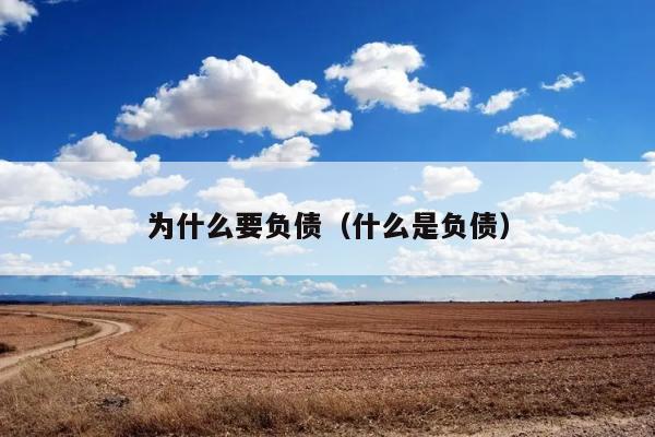 负债的原因是什么？负债的定义是什么？ 