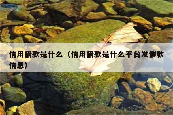 信用借款是什么？为何会收到催款信息？ 