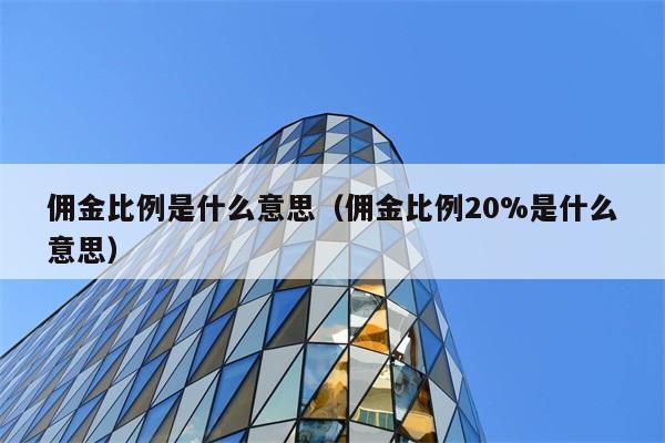 佣金比例的含义是什么？20%佣金比例是什么意思？ 