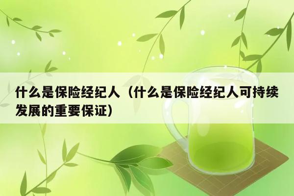 如何保障保险经纪人的持续发展？ 