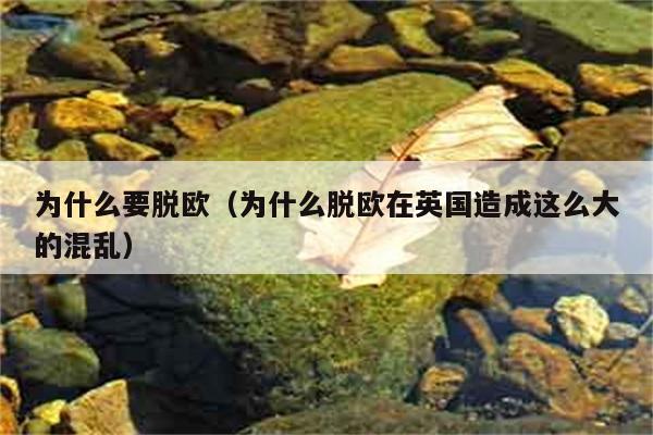 英国脱欧的原因是什么，为何会造成如此大的混乱？ 