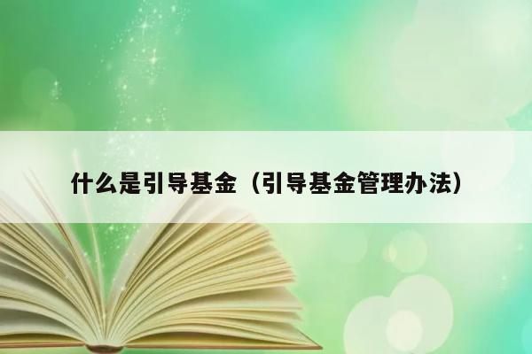 引导基金是什么？如何管理引导基金？ 