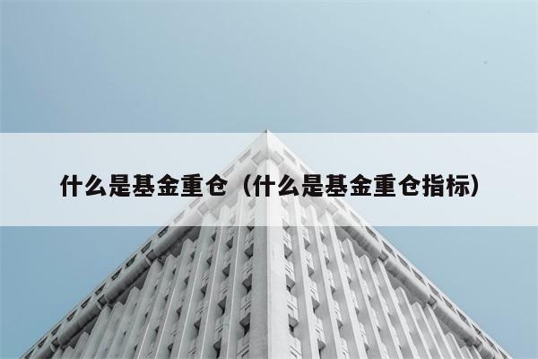 基金重仓指的是什么？如何理解基金重仓指标？ 