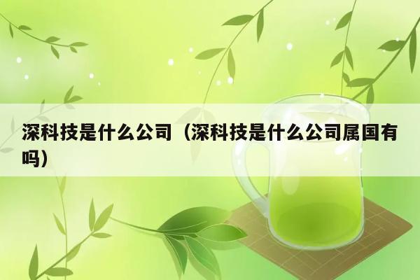 深科技是哪家公司？是否属于国有企业？ 