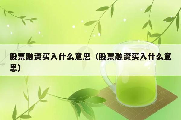 股票融资买入是什么意思？ 