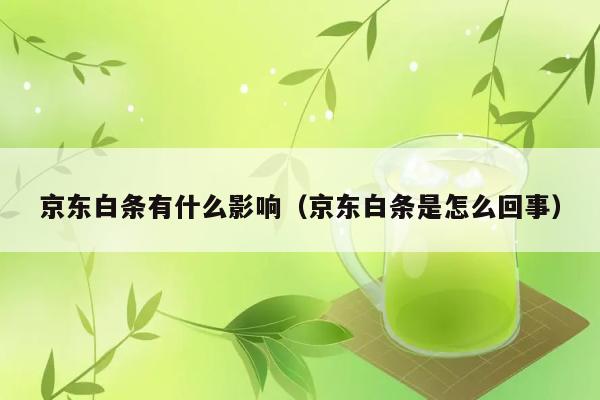 京东白条有哪些影响？它到底是什么？ 