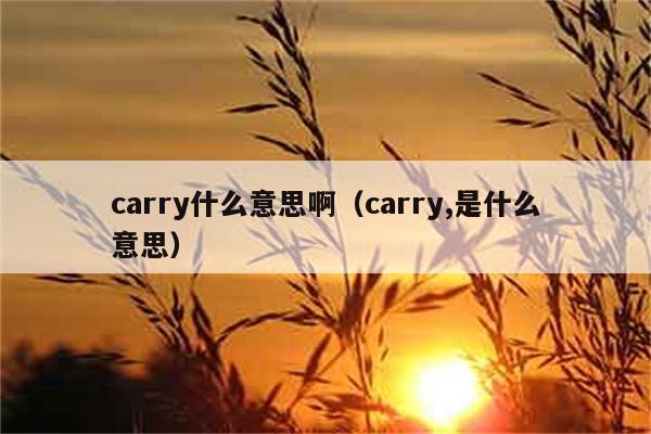 carry什么意思啊（carry,是什么意思） 