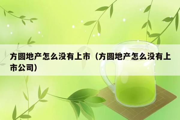 方圆地产怎么没有上市（方圆地产怎么没有上市公司） 