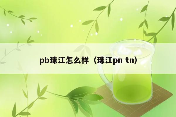 pb珠江怎么样（珠江pn tn） 