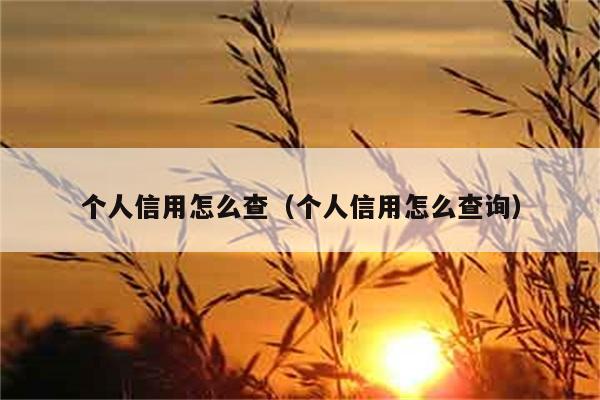 个人信用怎么查（个人信用怎么查询） 