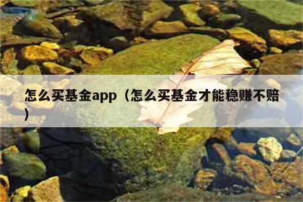 怎么买基金app（怎么买基金才能稳赚不赔） 