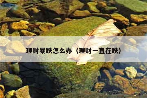 理财暴跌怎么办（理财一直在跌） 