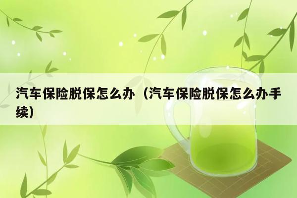 汽车保险脱保怎么办（汽车保险脱保怎么办手续） 