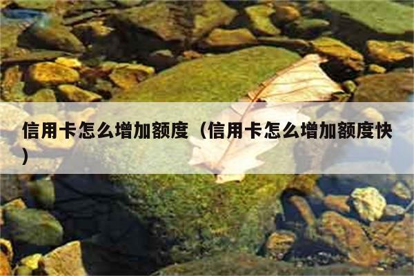 信用卡怎么增加额度（信用卡怎么增加额度快） 