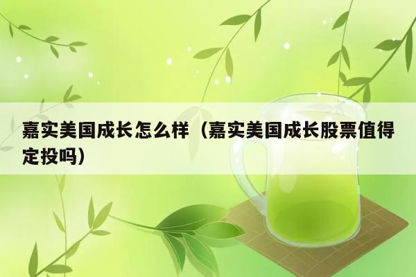 嘉实美国成长怎么样（嘉实美国成长股票值得定投吗） 