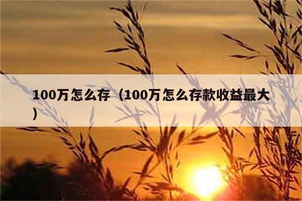 100万怎么存（100万怎么存款收益最大） 