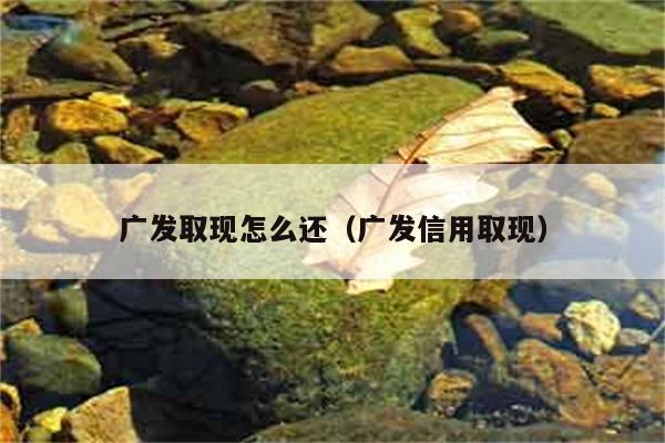 广发取现怎么还（广发信用取现） 