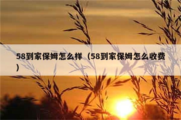 58到家保姆怎么样（58到家保姆怎么收费） 