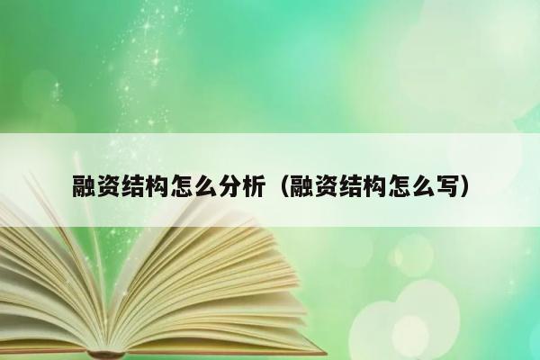 融资结构怎么分析（融资结构怎么写） 