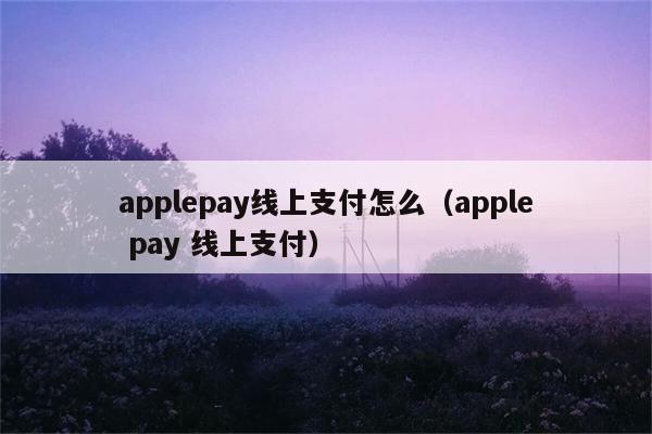 applepay线上支付怎么（apple pay 线上支付） 