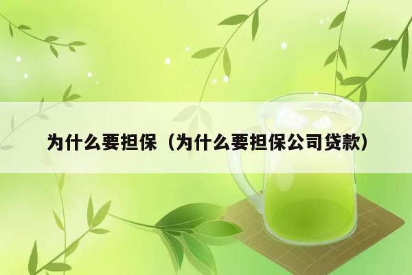 为什么要担保（为什么要担保公司贷款） 