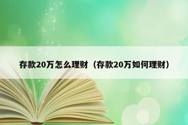 存款20万怎么理财（存款20万如何理财） 