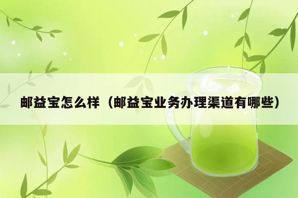 邮益宝怎么样（邮益宝业务办理渠道有哪些） 