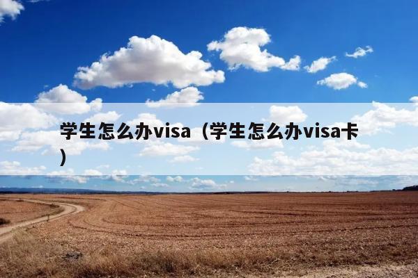 学生怎么办visa（学生怎么办visa卡） 