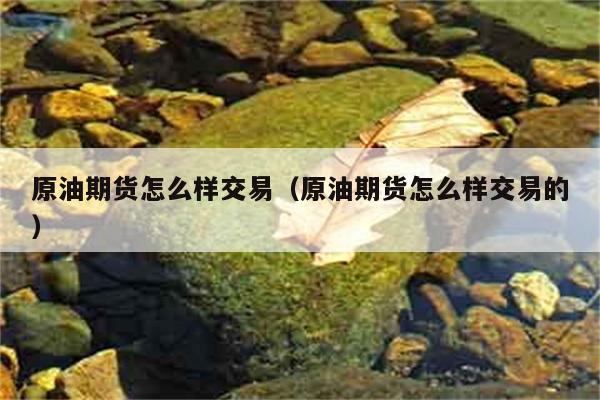 原油期货怎么样交易（原油期货怎么样交易的） 