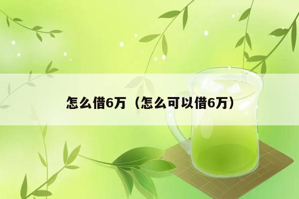 怎么借6万（怎么可以借6万） 