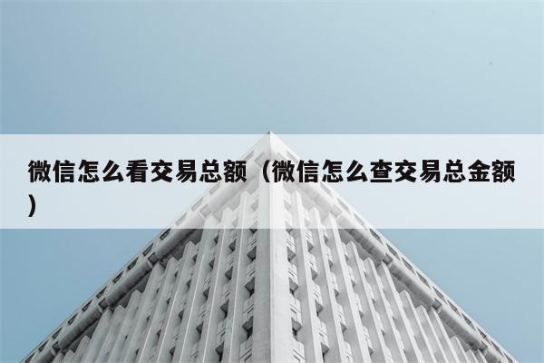 微信怎么看交易总额（微信怎么查交易总金额） 